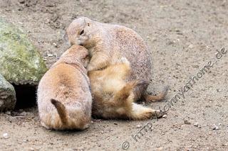 Cinny in Hamburg - Teil 2