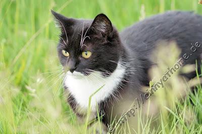 Cinny in Hamburg - Teil 2