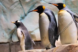 Cinny in Hamburg - Teil 2