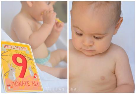 9 Monate Babyglück - Milestone Cards