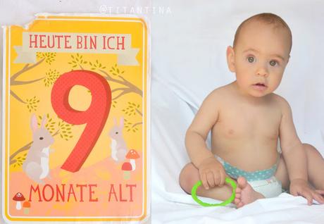 9 Monate Babyglück - Milestone Cards
