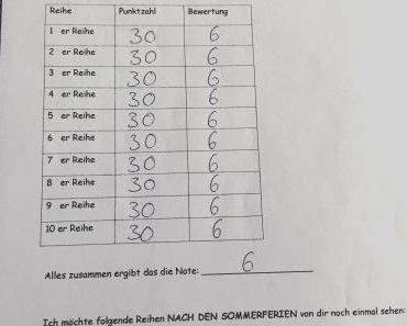 Junior und das Schulsystem