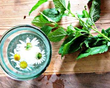 #mondayonmytable - Kamillen Eiswürfel in MinzSommertee