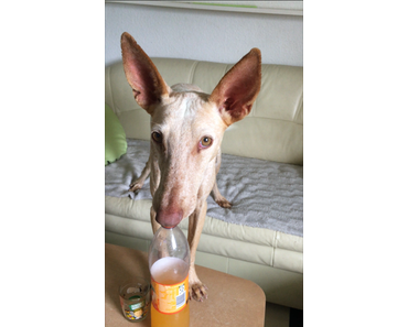 Wir haben Zuwachs bekommen