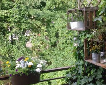 12tel-Blick im Juni 2016 – oder – Gelb, weiß, blau vor grüner „Wand“