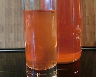 Rhabarber-Vanille-Likör II