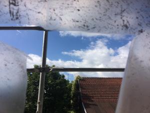 Sonntagsfreude: Der Morgen danach