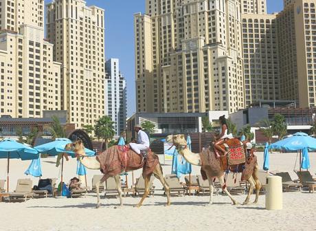 Dubai-mit-Kind-Strand-Kamele