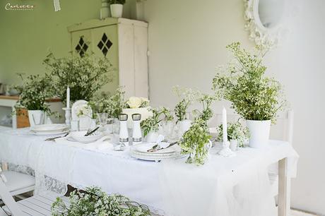 Diner en blanc