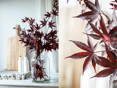 Blog + Fotografie by it's me! | fim.works | Japanischer roter Ahorn in der Vase, nicht am Baum | Collage von Ahorn und Ahorn in einer Glasvase