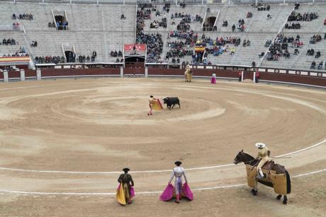 Stierkampf in der Arena Ventas in Madrid: Totale der Arena 20.3.2016, Foto Robert B. Fishman