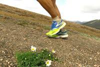 Wann du deine Laufschuhe wechseln solltest