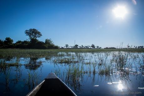 Okavango Delta – das grösste Binnendelta der Welt