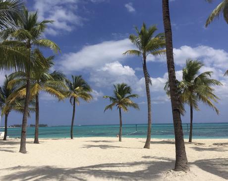 Gastartikel: Mein Wochenende in der Karibik