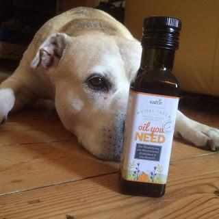 Vegan Dog-Food: Naftie im Test ( + Rabatt Code)
