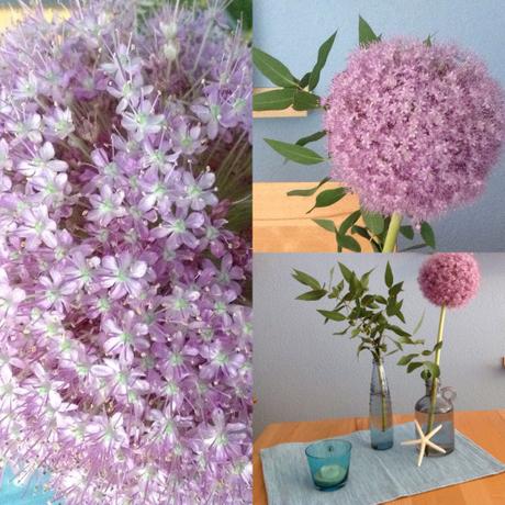 Friday-Flowerday – oder – Allium und Eukalyptus, maritim