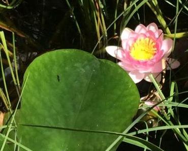 wallpaper-1689754