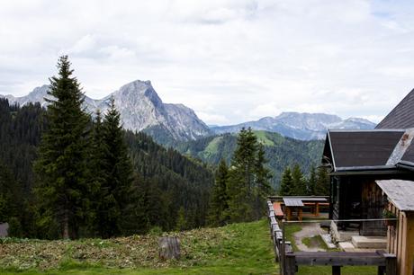 Teicheneggalm | Lassitzen | Eisenerzer Ramsau | Eisenerzer Alpen Höhenweg
