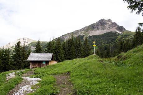 Teicheneggalm | Wildfeld | Eisenerzer Alpen Höhenweg