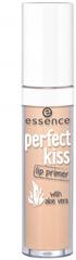 ess_Vertriebspraesentation_perfect_kiss_Lip_Base