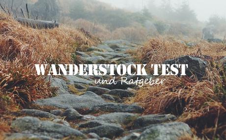 wanderstock-test-empfehlugen