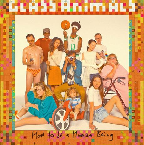 Glass Animals: In weiter Ferne so nah