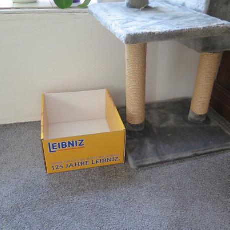 Keeekse ! von Brandnooz