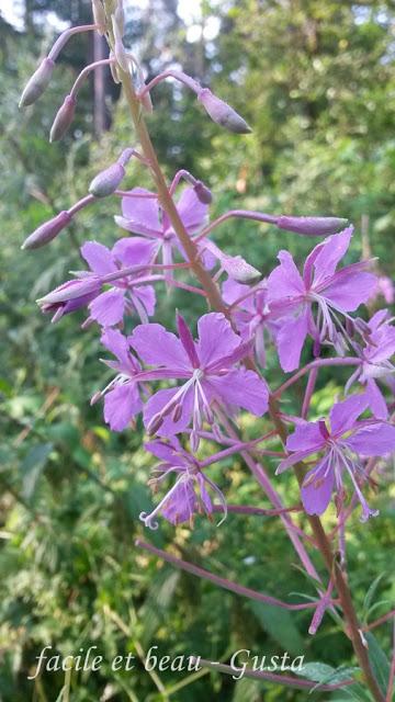 URLAUBSZEIT URLAUBSZEIT