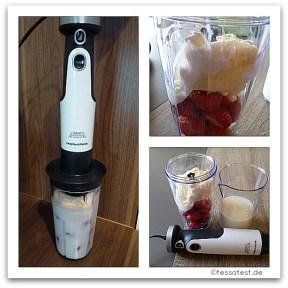 Morphy Richards Stabmixer Total Control im Test