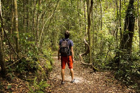 Kinabalu-Nationalpark-Wanderung-Sabah-Malaysia