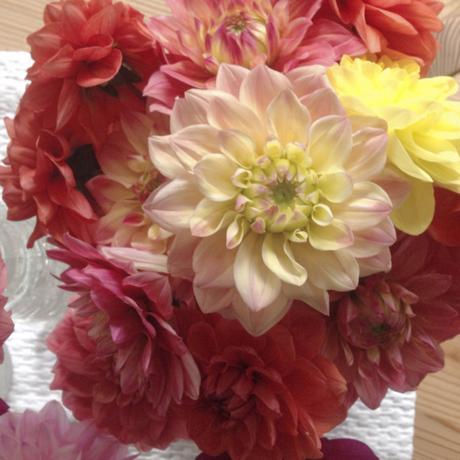Friday-Flowerday – oder – Vom Garten auf den Tisch