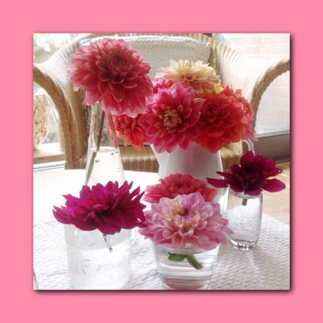 Friday-Flowerday – oder – Vom Garten auf den Tisch
