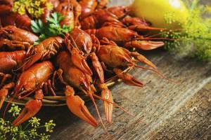 crawfish on wooden background in a plate toning