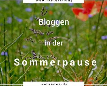 Bloggen in der Sommerpause? Für wen eigentlich?
