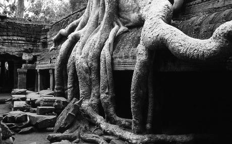 Angkor3sw
