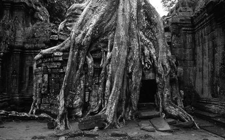 Angkor2sw