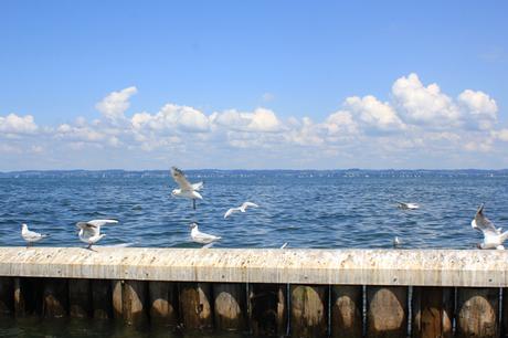 Lake of Constance: Summer holidays in the border triangle