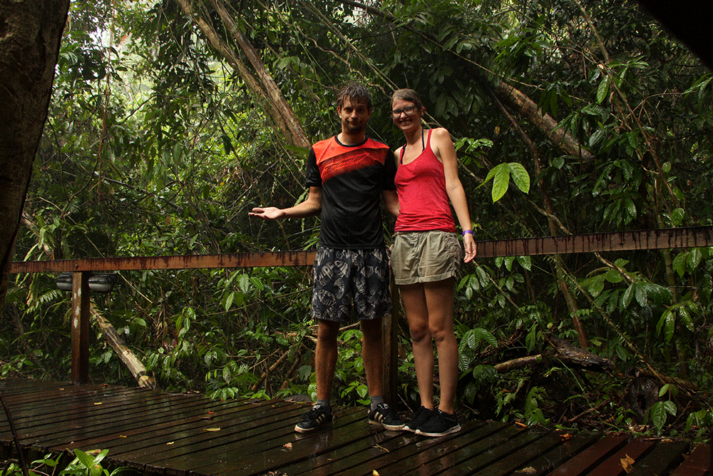 Regen-im-Mulu-Nationalpark-Malaysia