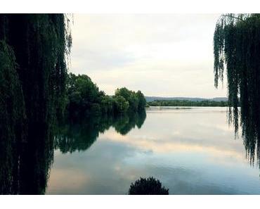 Habt Ihr schon einmal eine Überraschungsfeier organisiert...