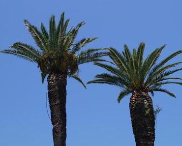 HOLIDAY IMPRESSIONS // KORFU