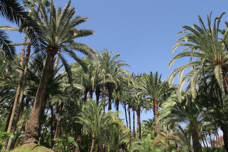 Gran Canaria Vlog #1: RIU Palace Oasis, die Sanddünen von Maspalomas uvm.!