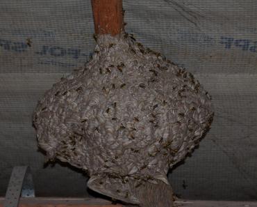 wallpaper-1689754