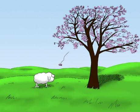 Frühlingswallpaper: Schaf und Kirschbaum