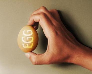 Was steckt eigentlich in einem Ei??