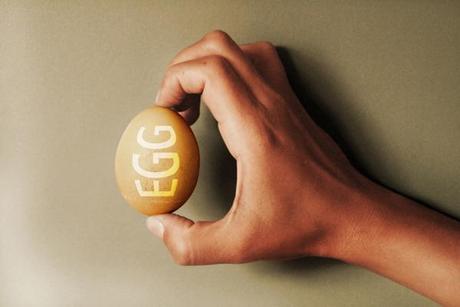 Was steckt eigentlich in einem Ei??