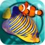 MyReef 3D Aquarium – Erstklassige Grafik und viele Interaktionsmöglichkeiten