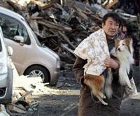 Hilfe für Tiere in Japan