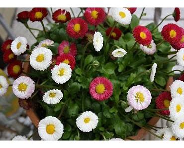 Solches Vertrauen wünsche ich Euch allen!