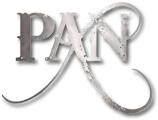 pan-logo-trans