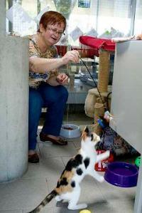 Tierheim Berlin: Streichelpaten gesucht